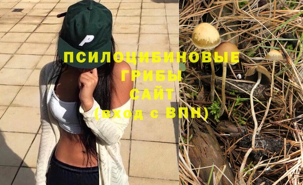 кокс Абинск