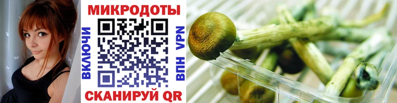 shop телеграм  Знаменск  Псилоцибиновые грибы ЛСД  где продают наркотики 